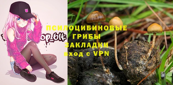 apvp Зерноград