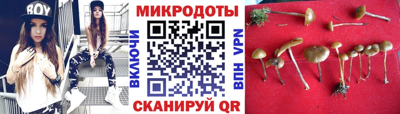 Купить  Грязовец  Галлюциногенные грибы Psilocybine cubensis 